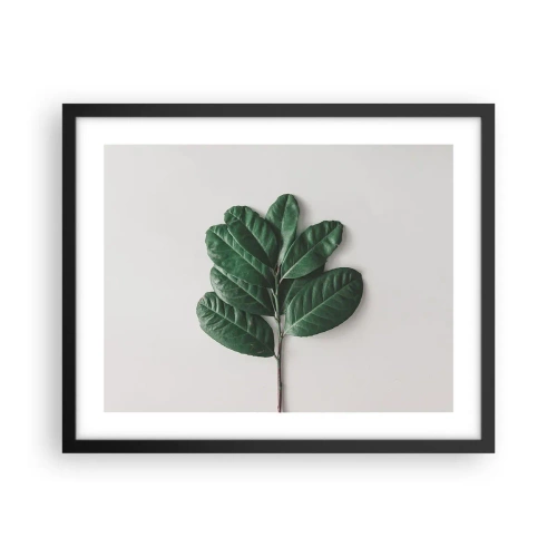 Poszter fehér keretben - Rajz csak a természetről - 50x40 cm