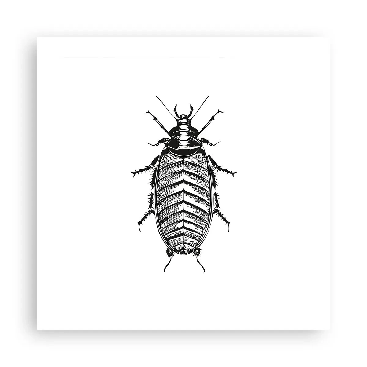 Poszter - Micsoda példány! - 50x50 cm