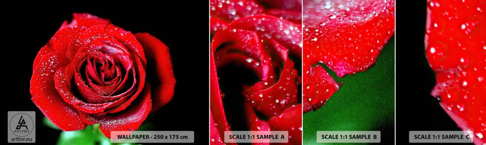 Fotótapéta Minta Öntapadós Deluxe Sticker - Ez szerelem - Virágok, Vörös rózsa, Rózsaszirmok - 100x30 cm