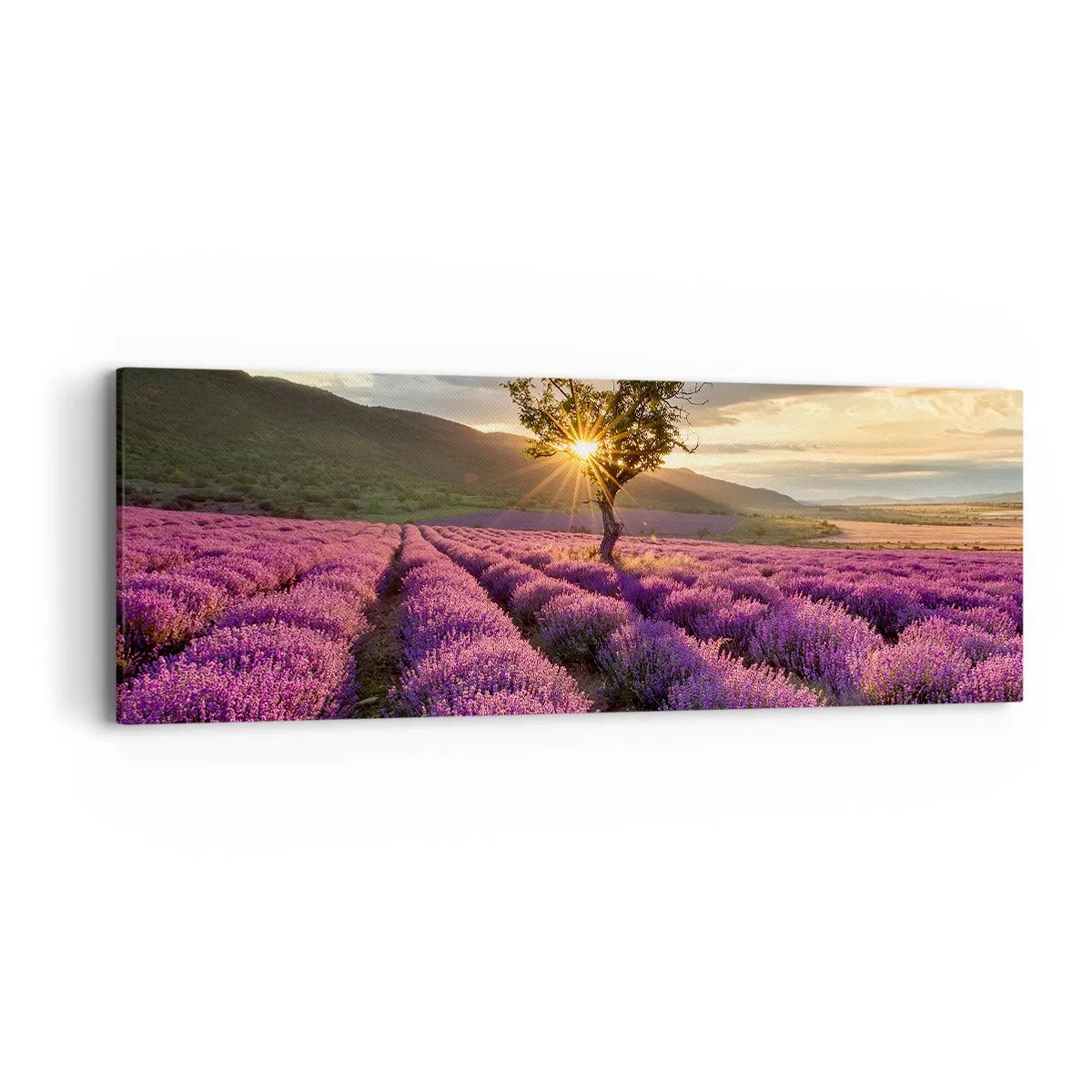 Vászonkép - Lila színű illat - 90x30 cm