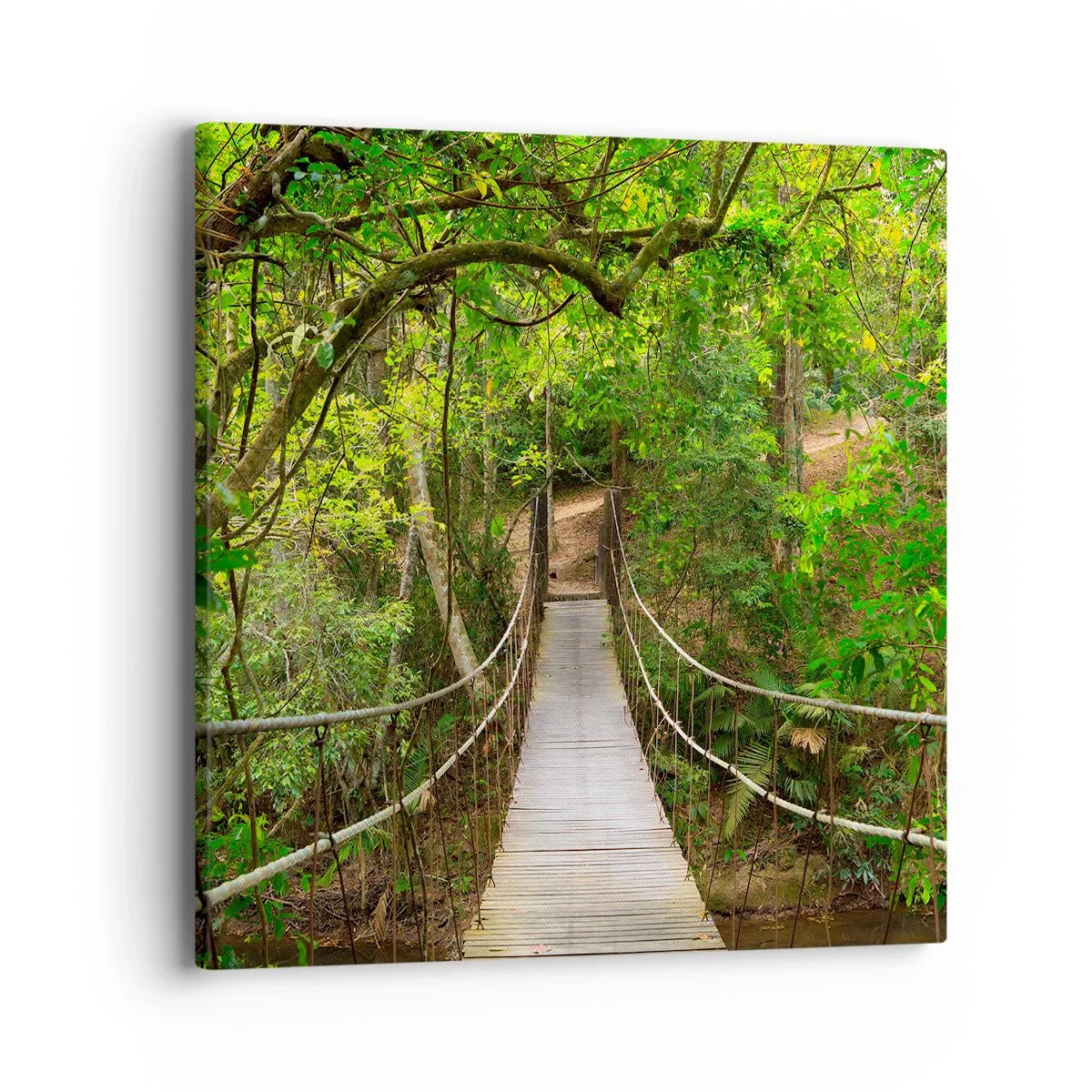 Vászonkép - Mert van egy kúszónövény a kertben - 40x40 cm