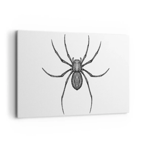 Vászonkép - Zavaró precizitás - 100x70 cm