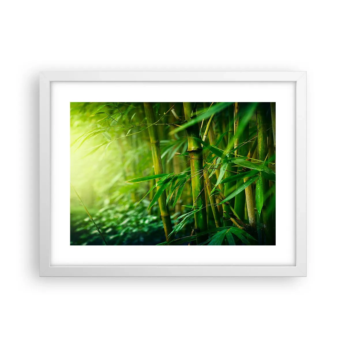 Poszter fekete keretben - Megismerni magát a zöldet - 40x30 cm