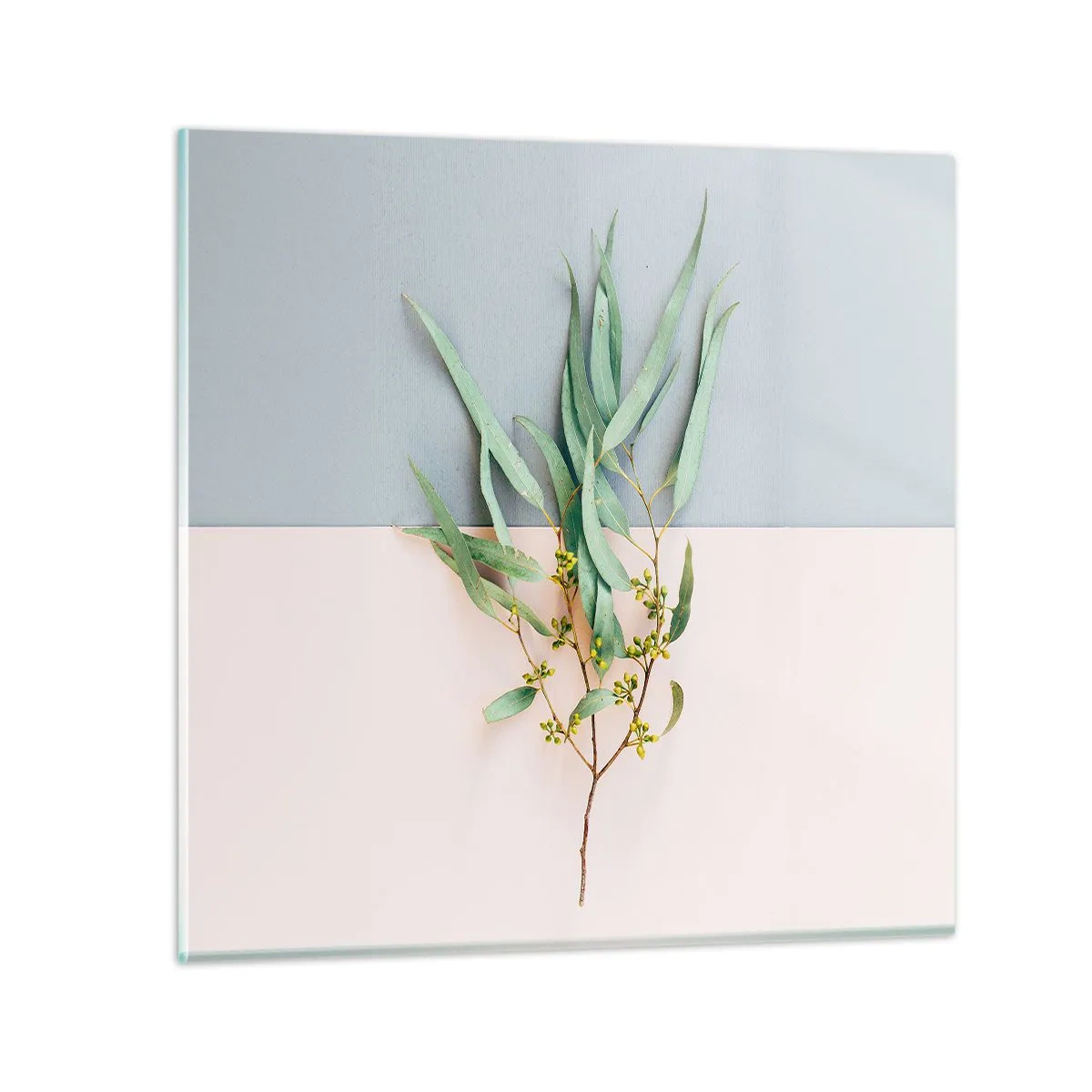 Üveg kép - Pasztell finomság - 50x50 cm