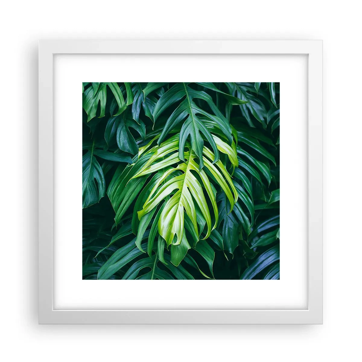 Poszter fekete keretben - Merüljön el a frissességben - 30x30 cm