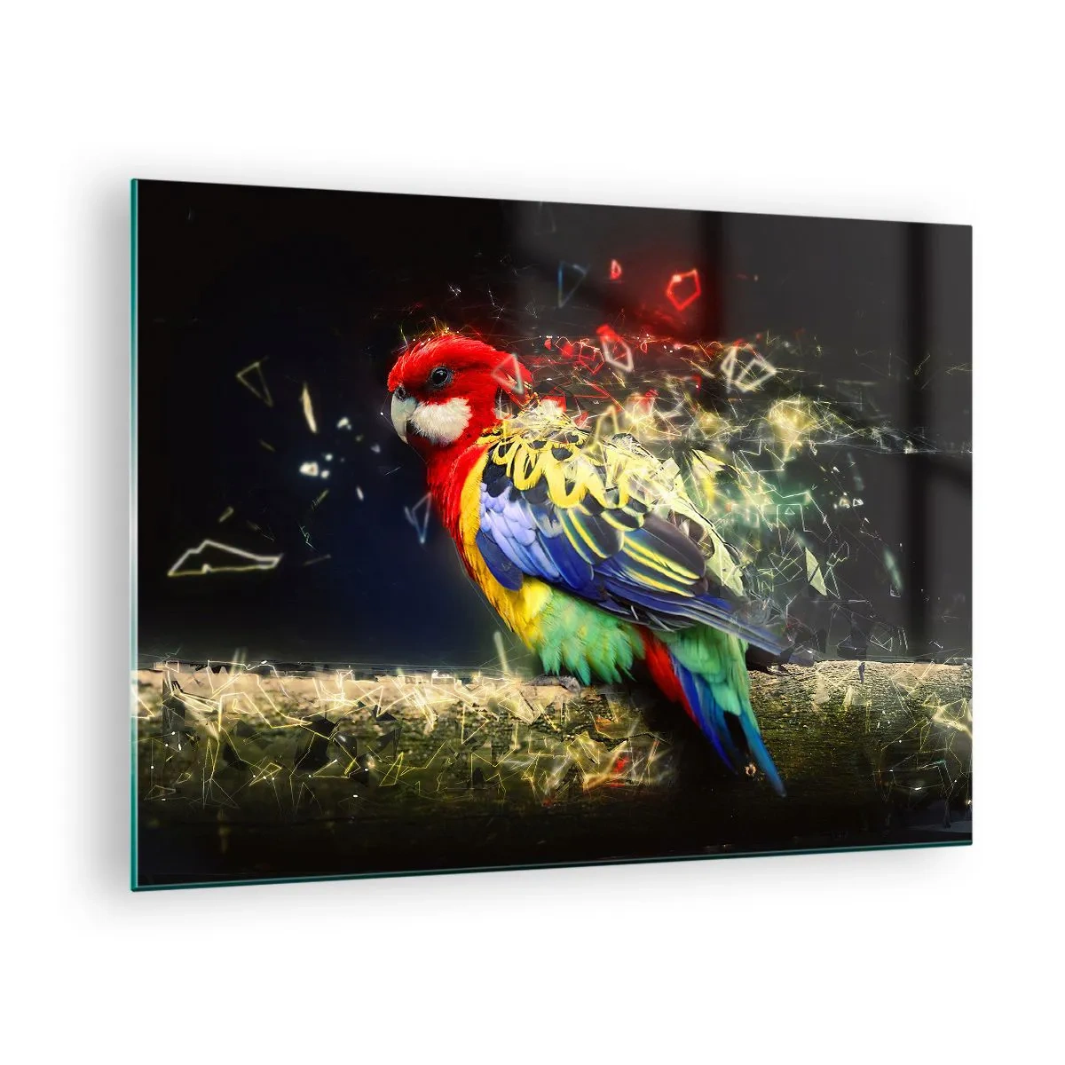 Üveg kép - Egy színes papagáj művészi kompozícióban, összetört hatással - 70x50cm - A ragyogás hírnöke - Modern fali dekoráció nappalihoz és hálószobához ARTTOR