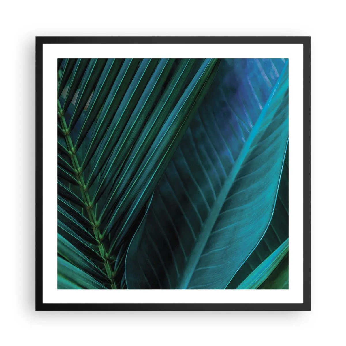 Poszter fehér keretben - A zöld anatómiája - 60x60 cm