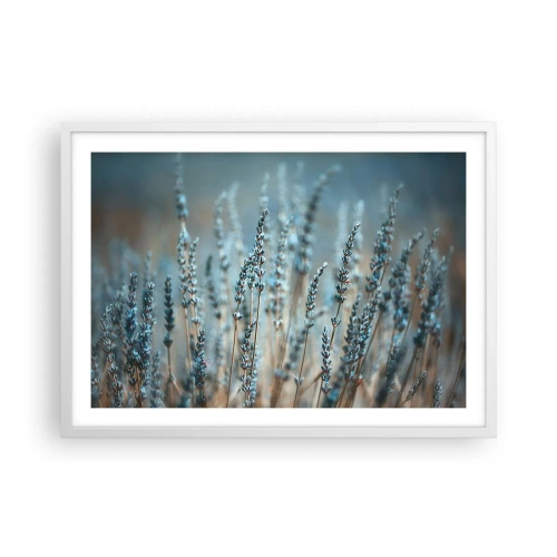 Poszter fekete keretben - Illatos szálak - 70x50 cm