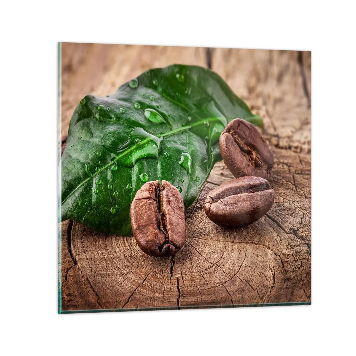 Üveg kép - A legigazibb és fekete - 70x70 cm