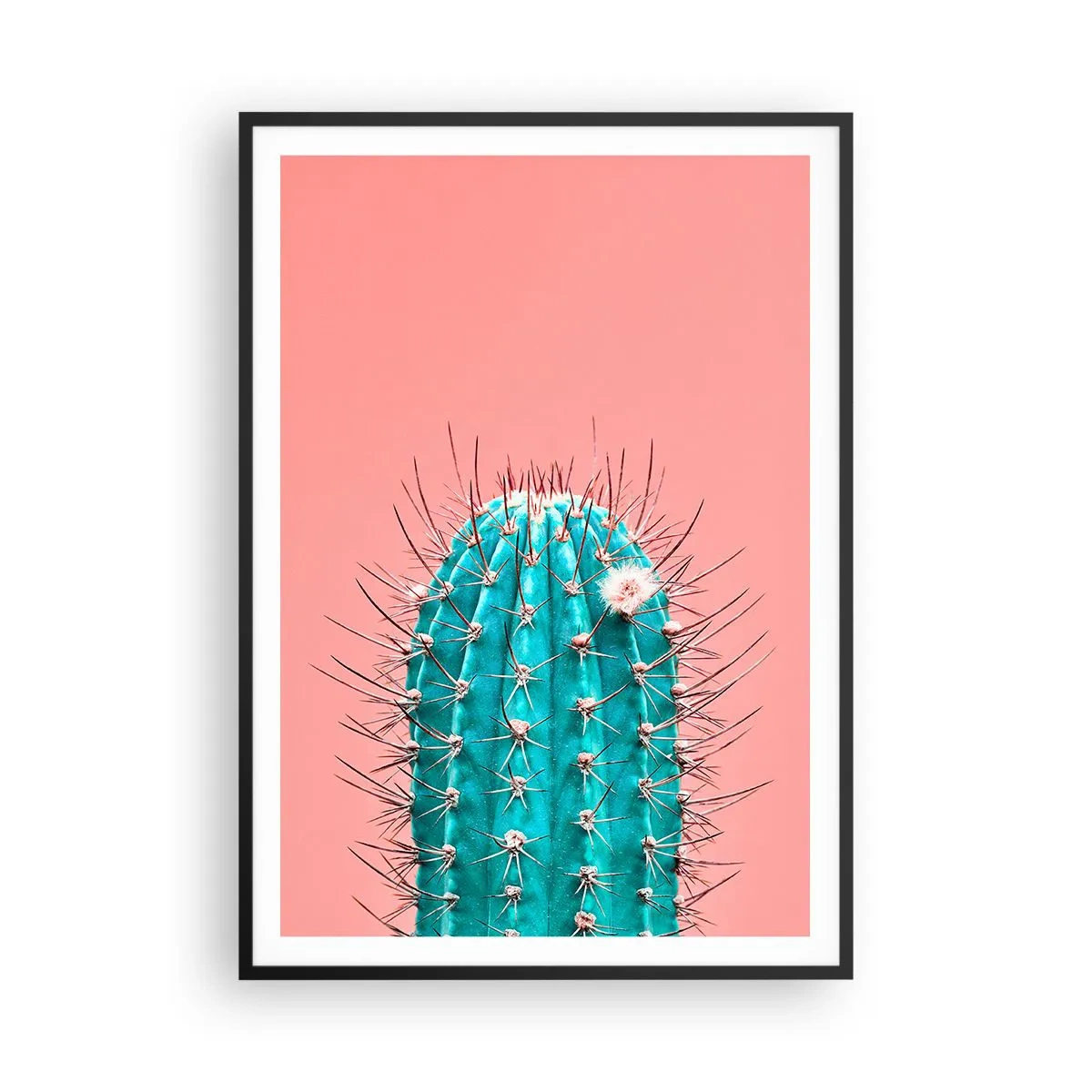 Poszter fehér keretben - Csak nézz - 70x100 cm