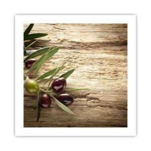 Poszter - Egyenesen a természetből - 50x50 cm