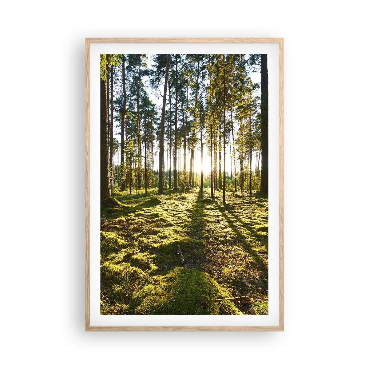 Poszter világos tölgy keretben - … A hét erdőn túl - 61x91 cm