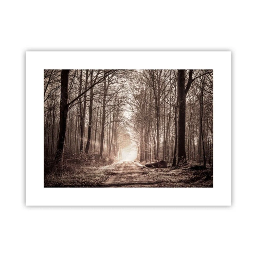 Poszter - Erdei katedrális - 40x30 cm