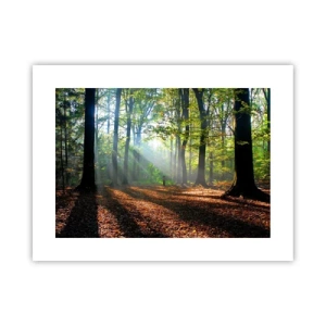 Poszter - Ragyogások és árnyékok - 40x30 cm