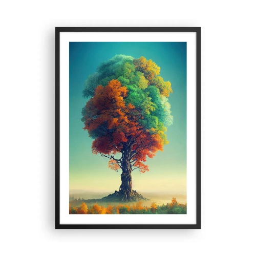 Poszter fehér keretben - Egy fa a négy évszak színeiben - 50x70cm - Tölgy - a természet atyja - Modern fali dekoráció nappalihoz és hálószobához ARTTOR