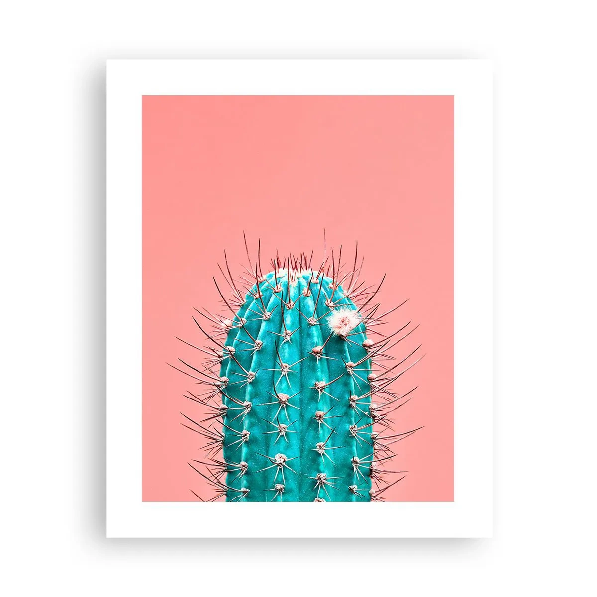 Poszter - Csak nézz - 40x50 cm