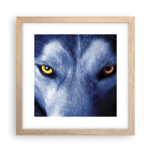 Poszter világos tölgy keretben - Hipnotizáló nézés - 30x30 cm