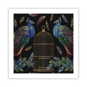 Poszter - Királyi köntösben - 50x50 cm