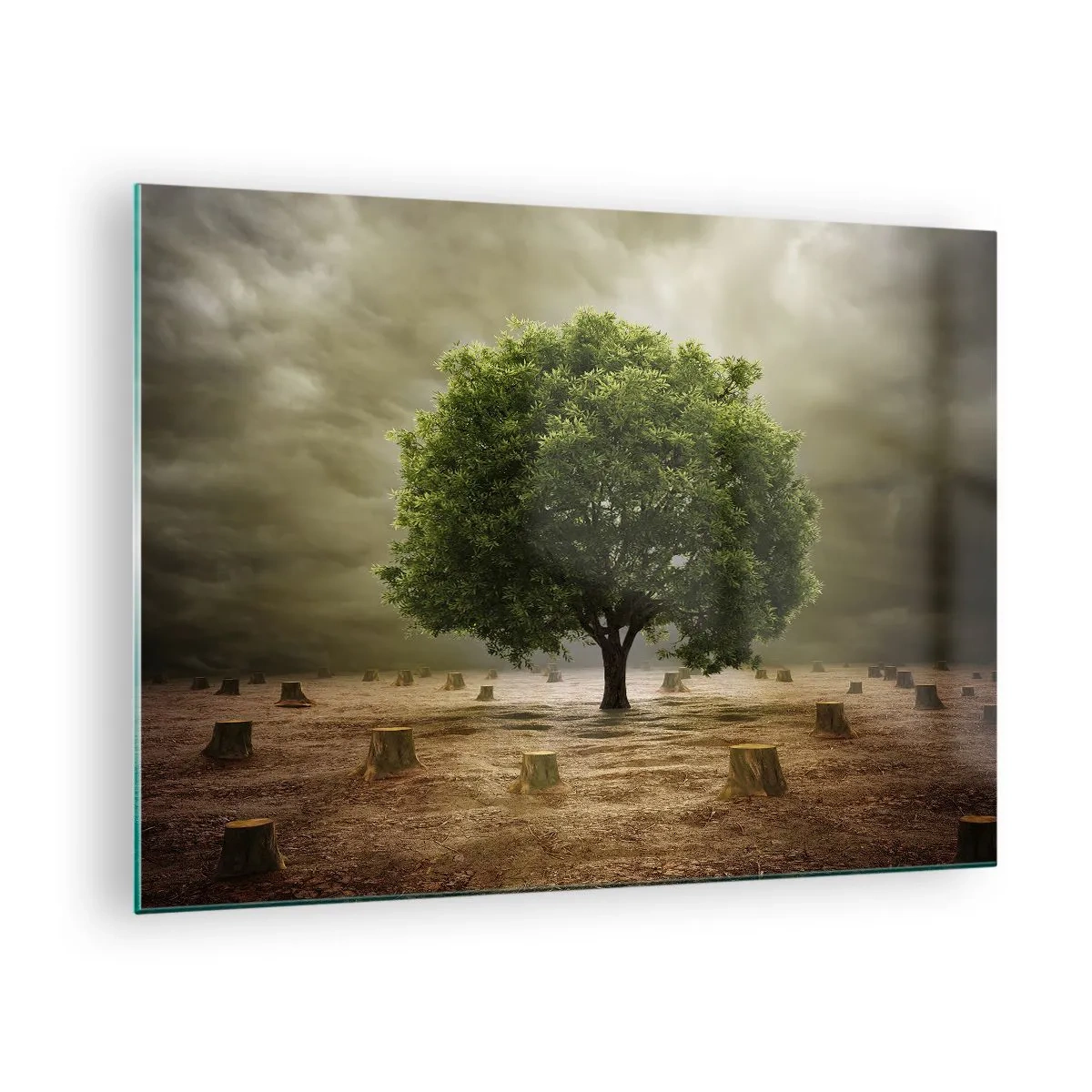 Üveg kép - Egy zöld fa, amelyet törzsek vesznek körül a komor égbolton - 70x50cm - Egész remény - Modern fali dekoráció nappalihoz és hálószobához ARTTOR