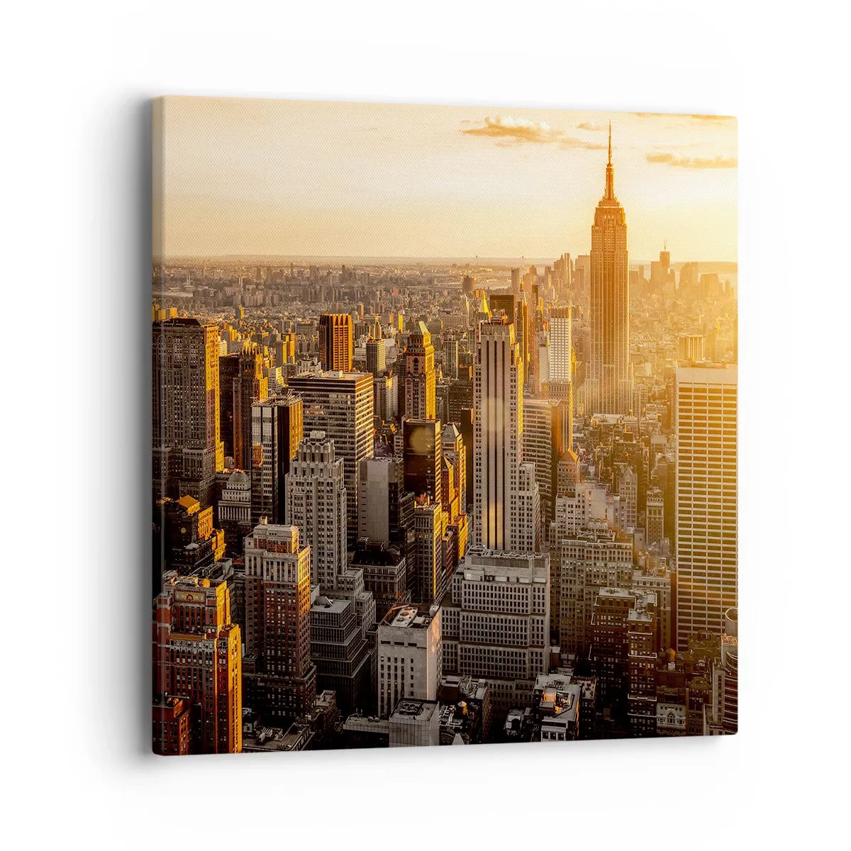 Vászonkép - Növekedni a napon - 40x40 cm