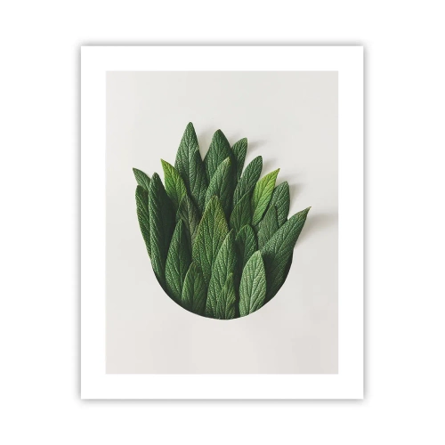 Poszter - Féktelen kíváncsiság - 40x50 cm