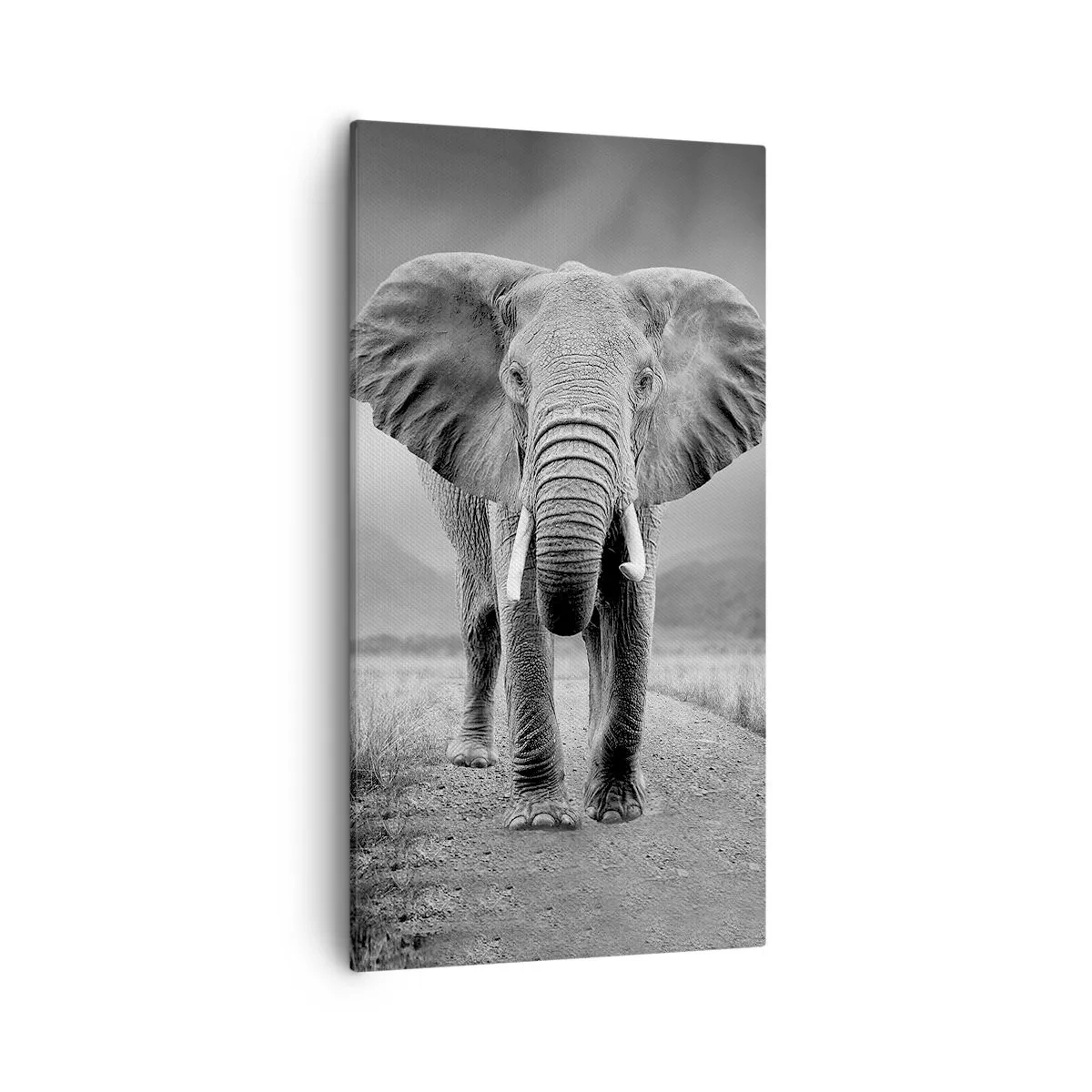 Vászonkép - A házigazda üdvözli - 55x100 cm