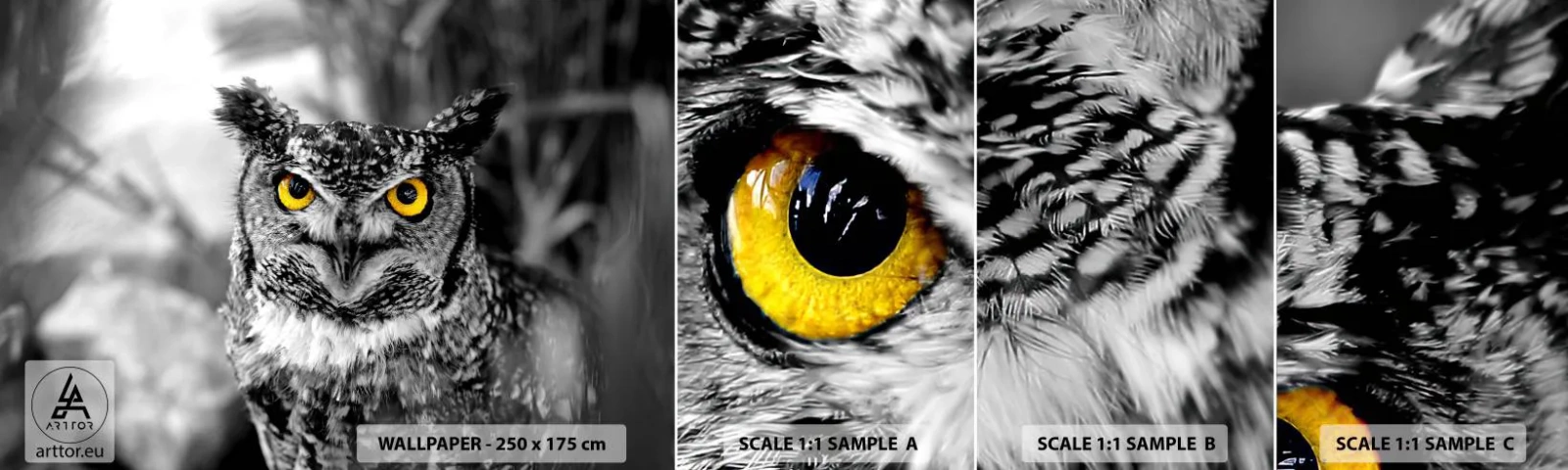 Fotótapéta Minta Standard Eco - Semmi sem fog elbújni - Madarak, Bagoly, Természet - 100x30 cm