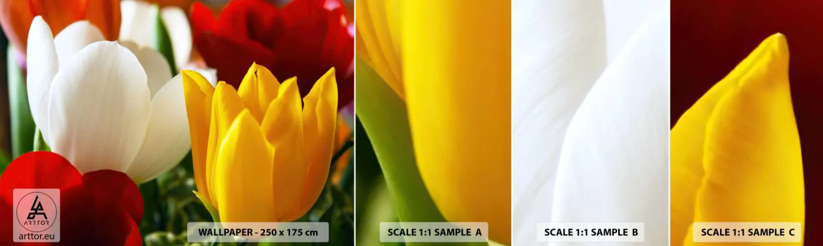 Fotótapéta Minta Standard Eco - Tulipán láz - Virágok, Tulipánok, Csokor virág - 100x30 cm