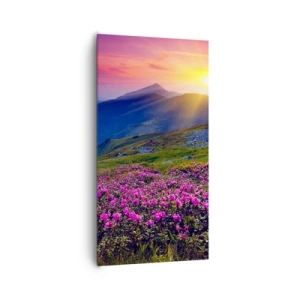 Vászonkép - … És körülötte hegyi fenyő és gyógynövények illata - 65x120 cm