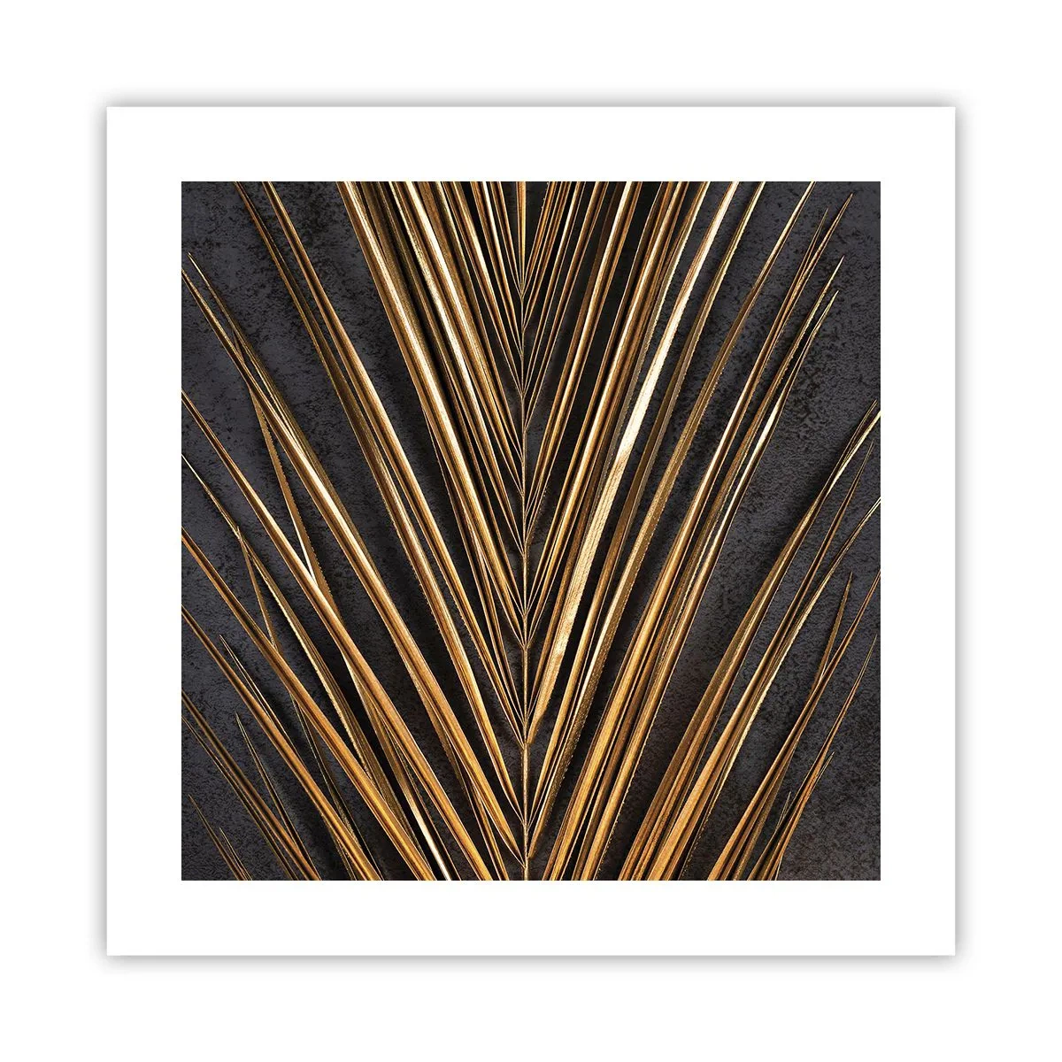 Poszter - A trópusok aranya - 40x40 cm