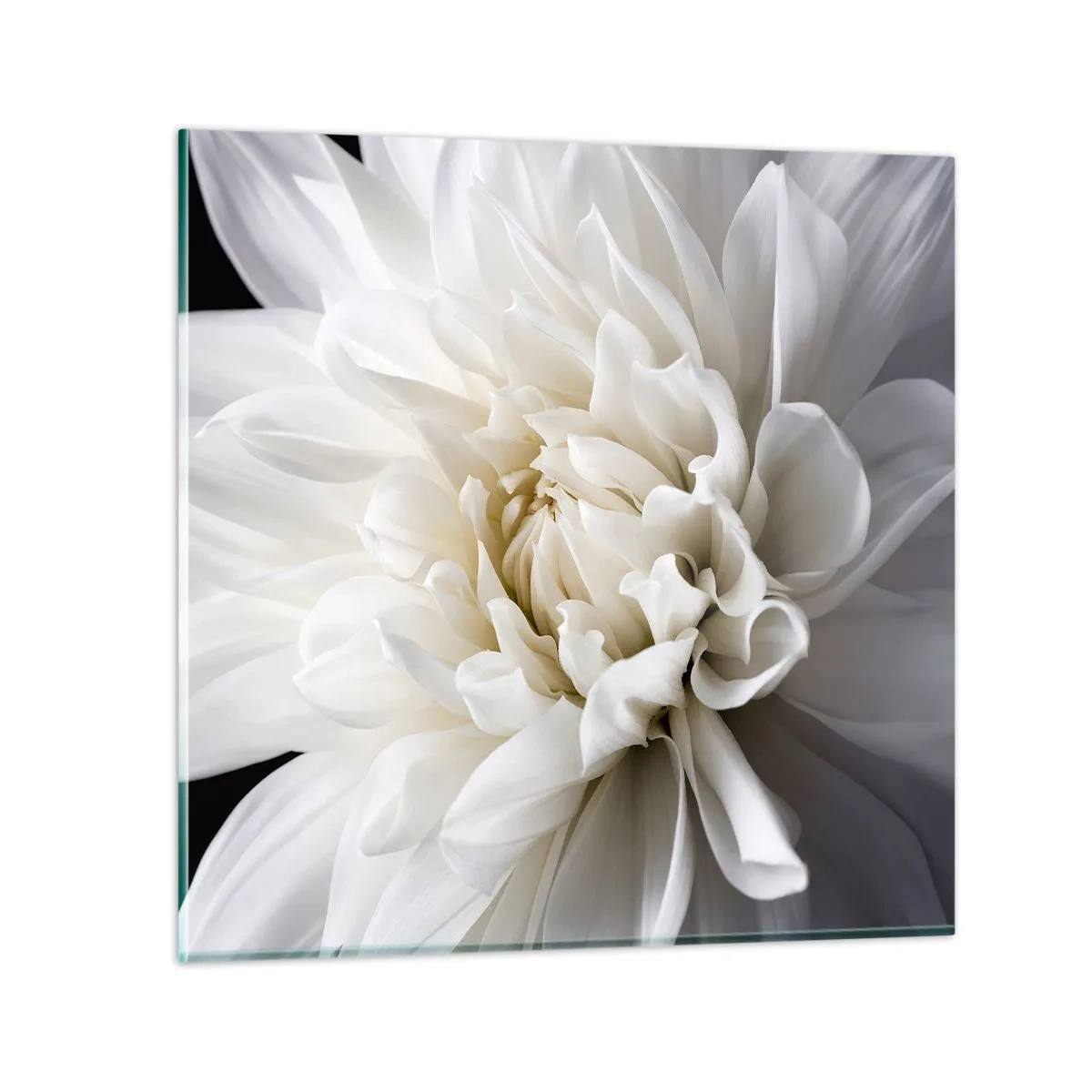 Üveg kép - Menyasszony reggele - 50x50 cm