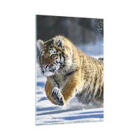 80x120 cm | Függőleges