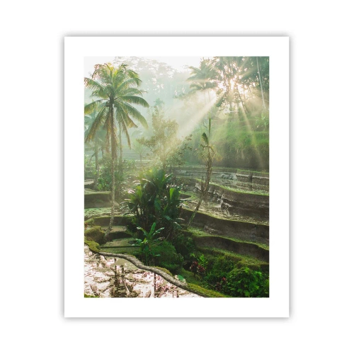 Poszter - Felnőni a napon - 40x50 cm