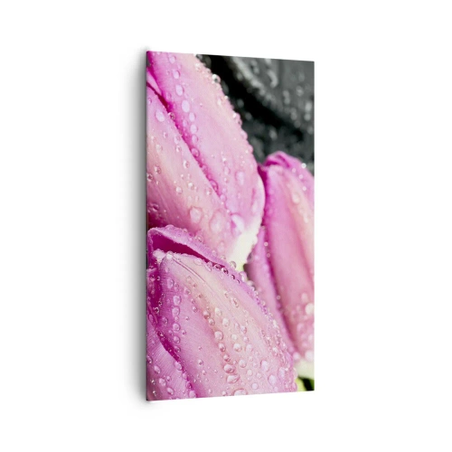 Vászonkép - Lila hármas a fekete kövön - 65x120 cm