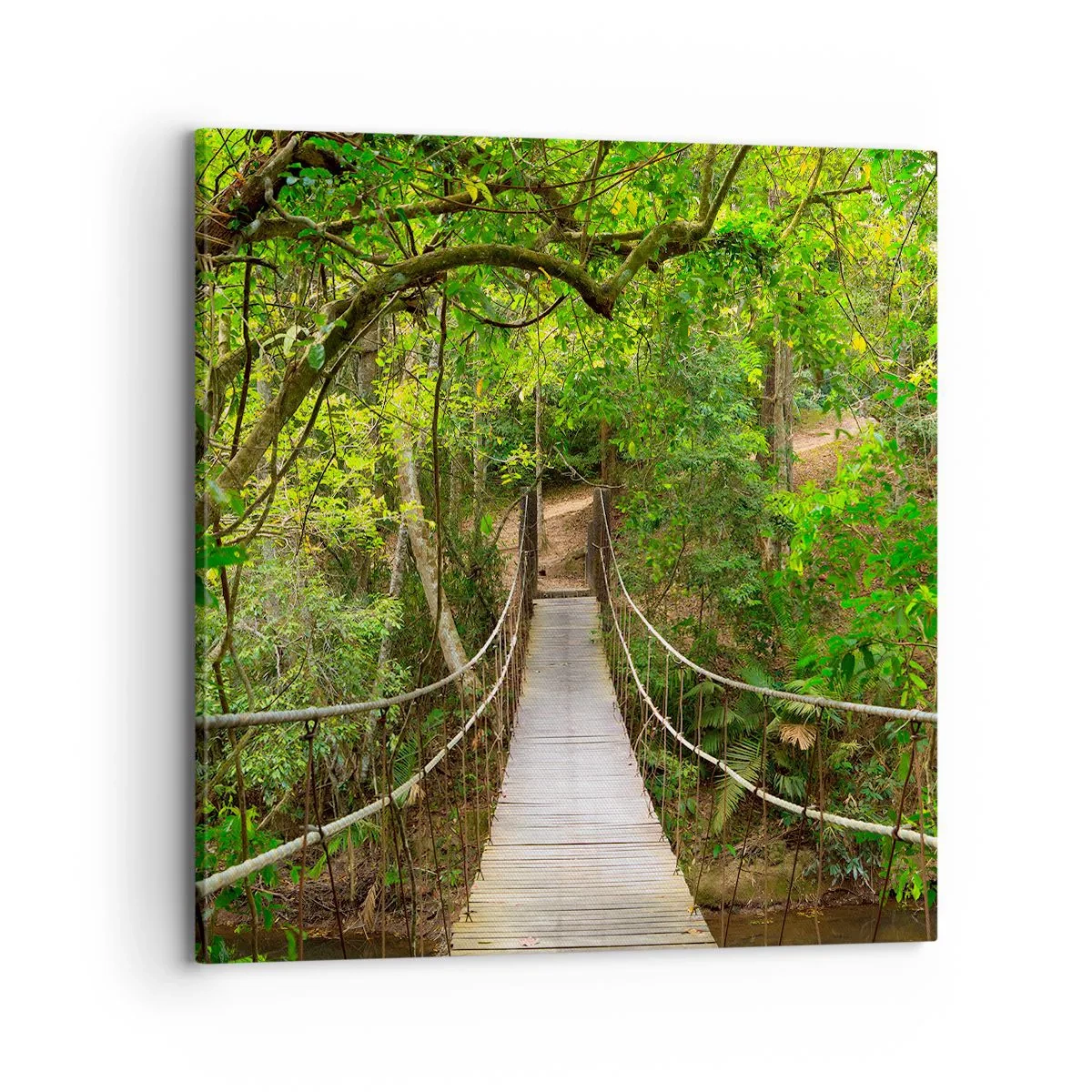 Vászonkép - Mert van egy kúszónövény a kertben - 70x70 cm