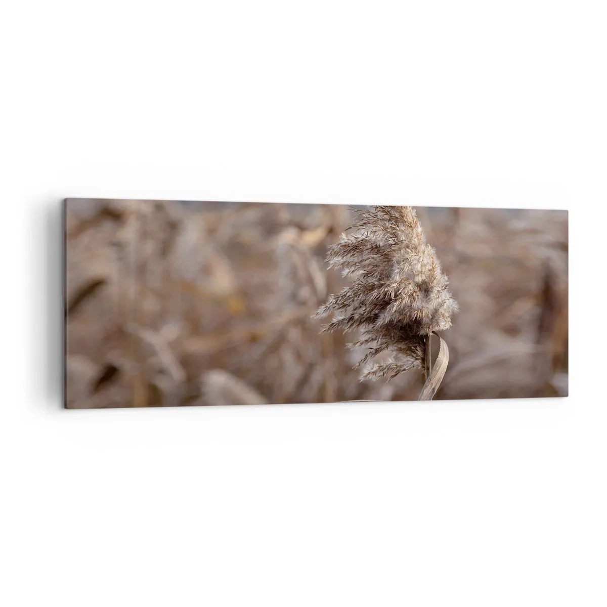 Vászonkép - Ideje elrepülni a széllel - 140x50 cm