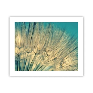 Poszter - A szélre várva - 50x40 cm