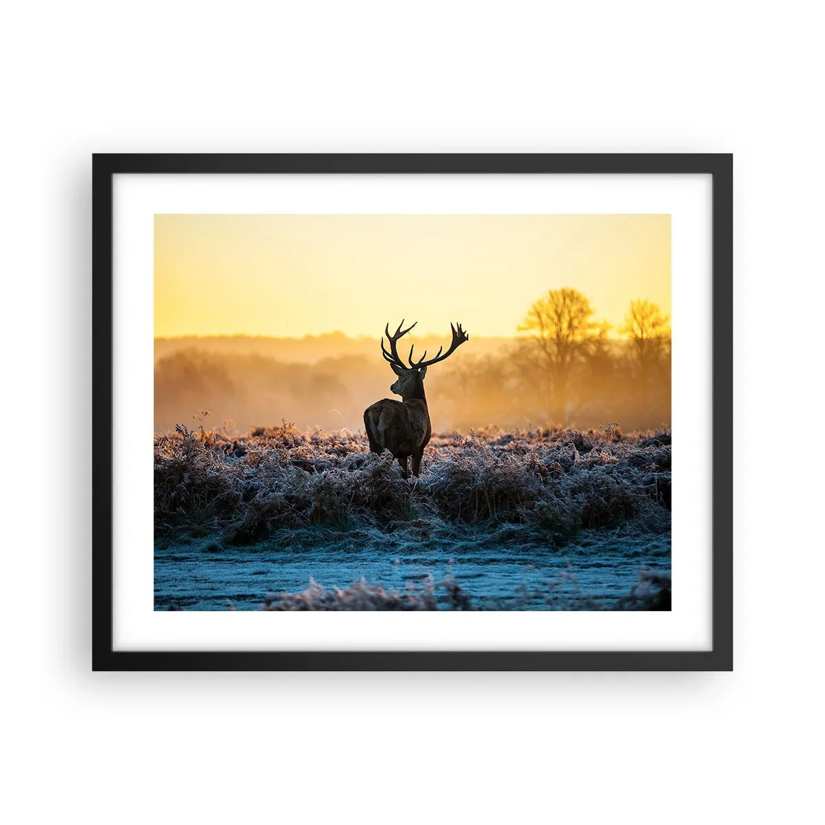 Poszter fehér keretben - Megkoronázott a birtokán - 50x40 cm