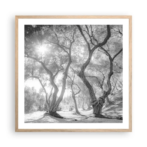 Poszter világos tölgy keretben - Egy olajfaligetben - 60x60 cm