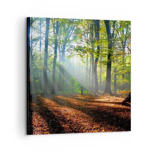 Vászonkép - Ragyogások és árnyékok - 50x50 cm