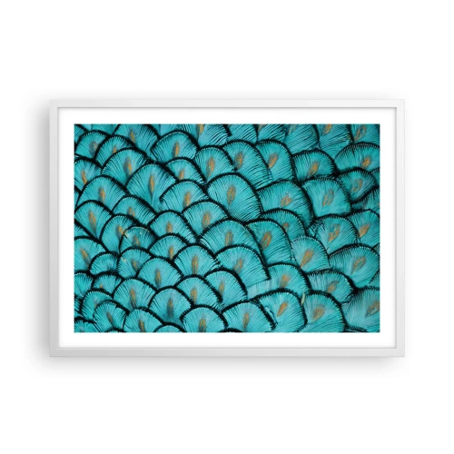 Poszter fekete keretben - A tollak nagy gálája - 70x50 cm