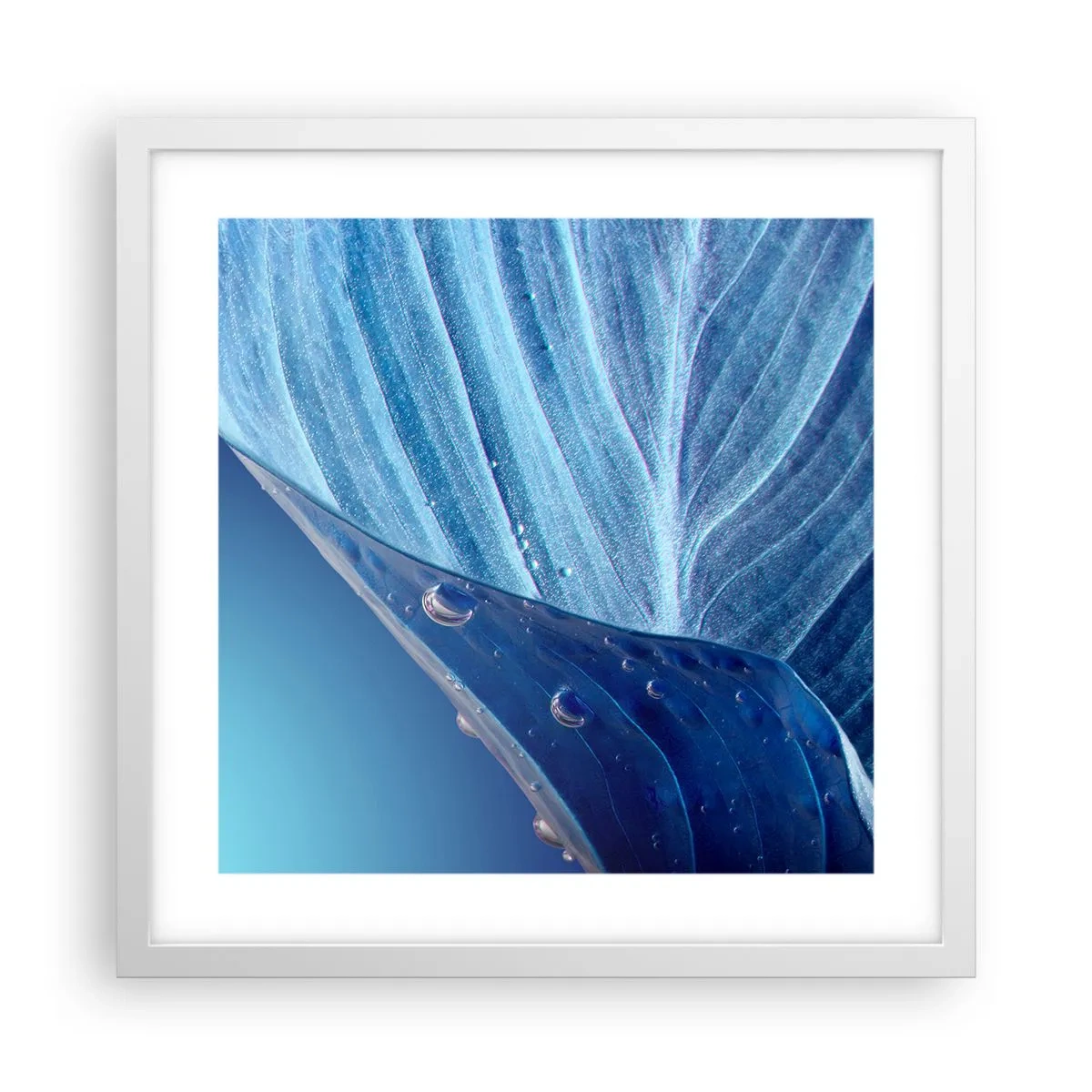 Poszter fekete keretben - A kék rejtett cseppjei - 40x40 cm