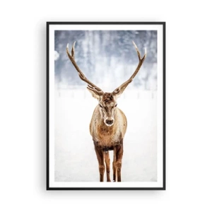 Poszter fehér keretben - Egyenesen a hóködből - 70x100 cm