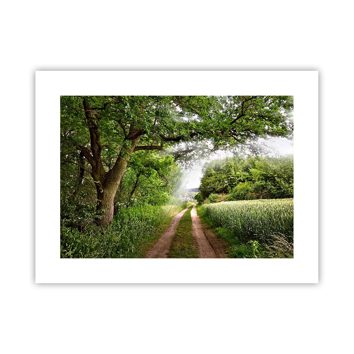 Poszter - Et in Arcadia ego - 40x30 cm