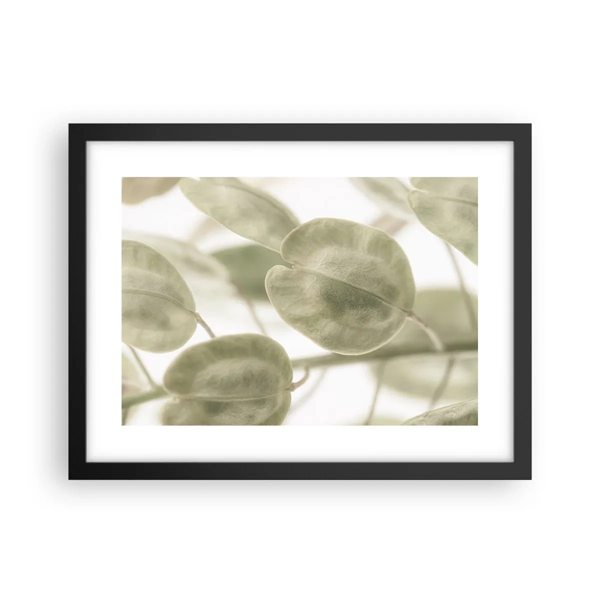 Poszter fehér keretben - Kezdetben levelek voltak... - 40x30 cm