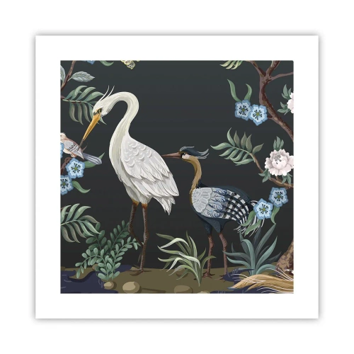 Poszter - Madar parádé - 40x40 cm