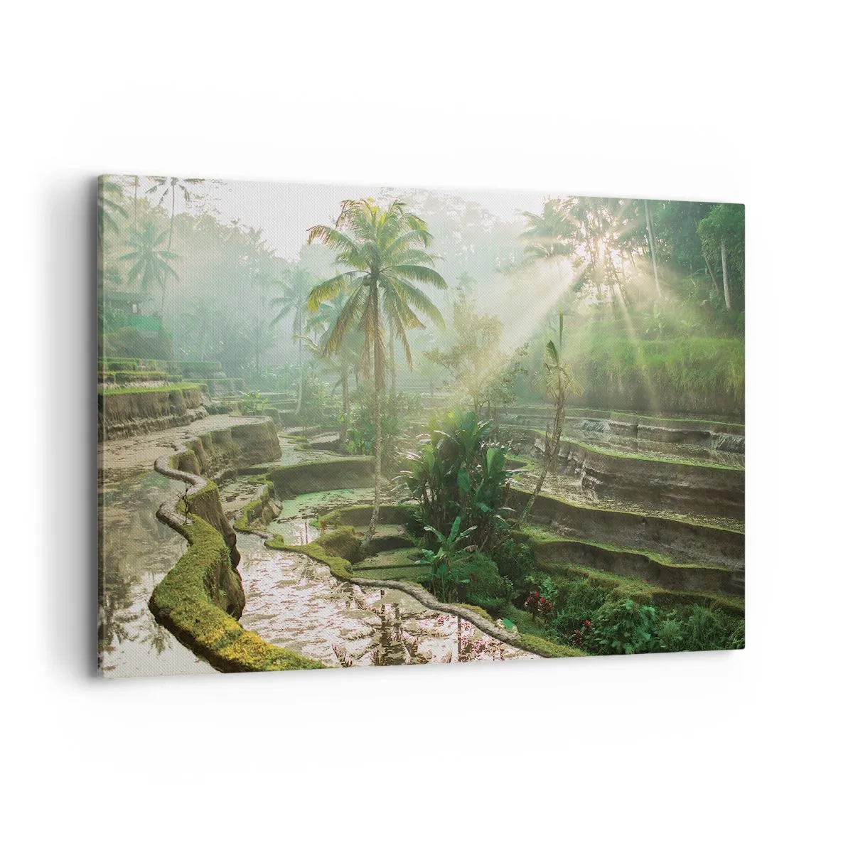 Vászonkép - Felnőni a napon - 100x70 cm