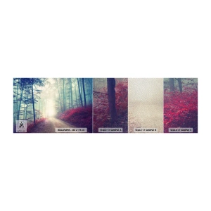 Fotótapéta Minta Premium Sand - Milyen jó felkelni hajnalban - Tájkép, Erdő, Erdei út - 100x30 cm