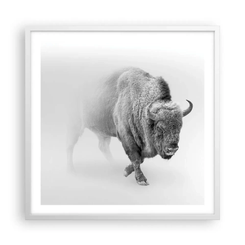 Poszter fekete keretben - A préri királya - 60x60 cm