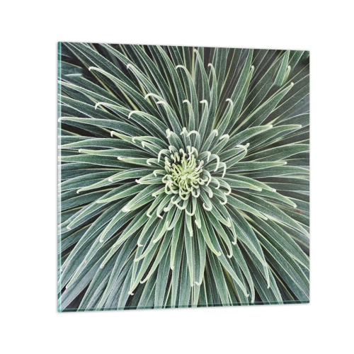 Üveg kép - Csillag születik - 60x60 cm